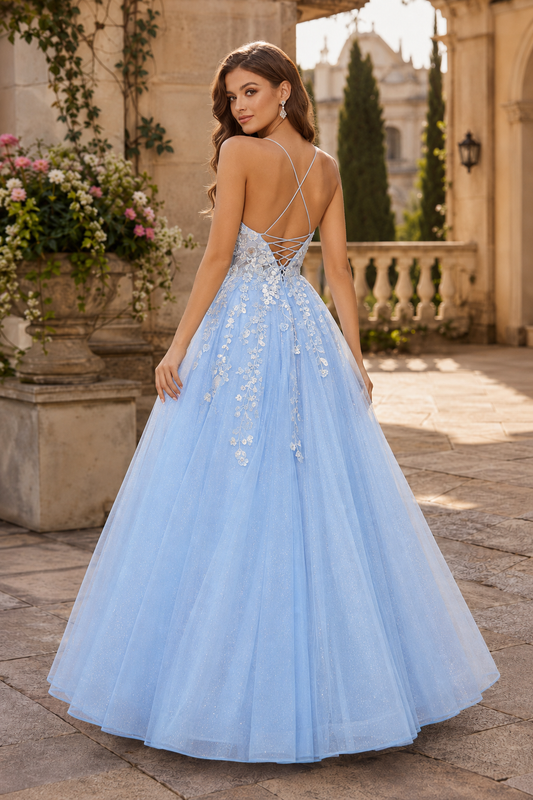 Aribelle A Line V Neck Tulle Prom Dress - back view