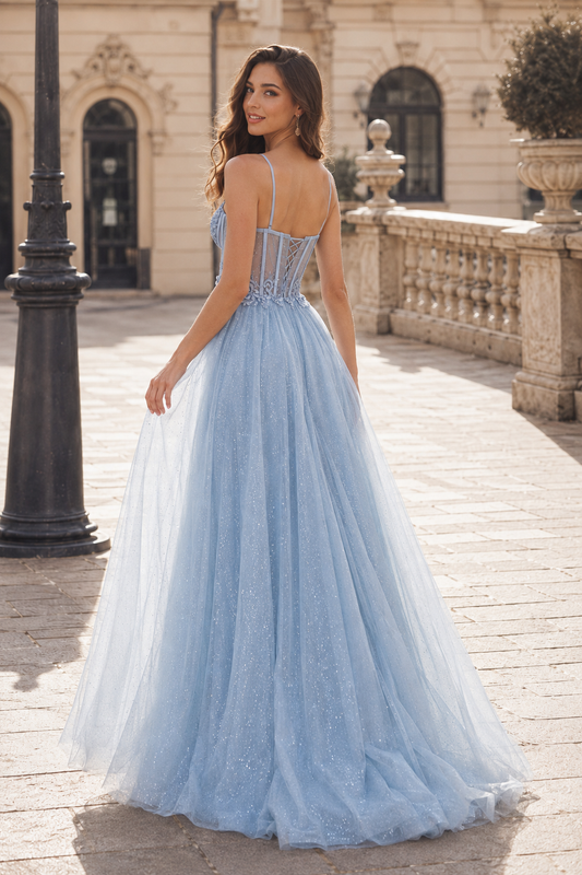 Jorrienne A Line Sweetheart Sleeveless Sweep Train Tulle Prom Dress - back view