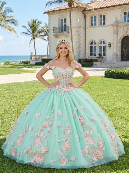 Charming Ball Gown Illusion Neck Quinceañera Dress With 3D Floral & Lace | Promspark