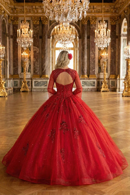 Theodora Chic High Neck Tulle Quinceañera Dress With Lace & Cut-out Back in Red, back view