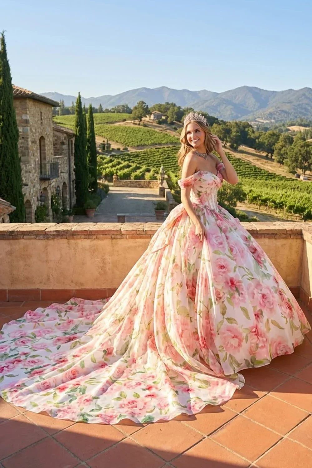 Mirabella Elegant Ball Gown Cold Shoulder Quinceañera Dress With Floral Pattern in Pink - product view