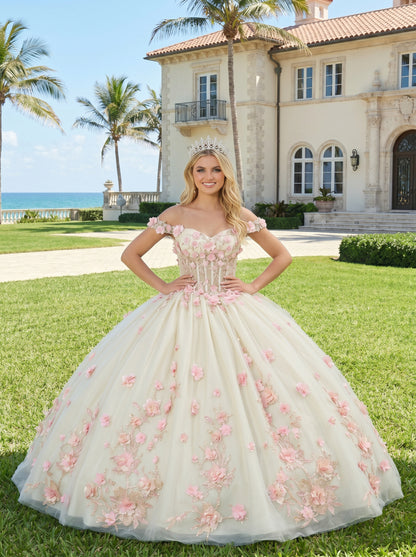 Charming Ball Gown Illusion Neck Quinceañera Dress With 3D Floral & Lace | Promspark