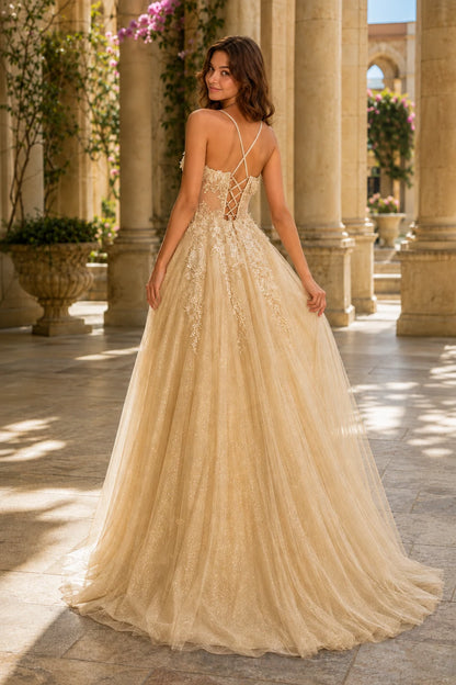 Pavelle Beaded Corset Tulle Ball Gown Prom Dress - Chocolate Brown back view | PromSpark