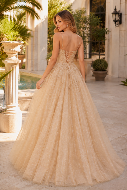 Arisette A Line V Neck Floor Length Tulle Prom Dress- Style in Champagne - back view