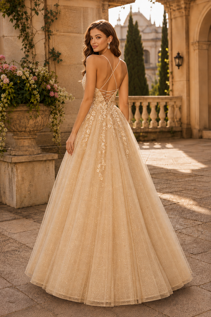 Aribelle A Line V Neck Tulle Prom Dress in Champagne - back view